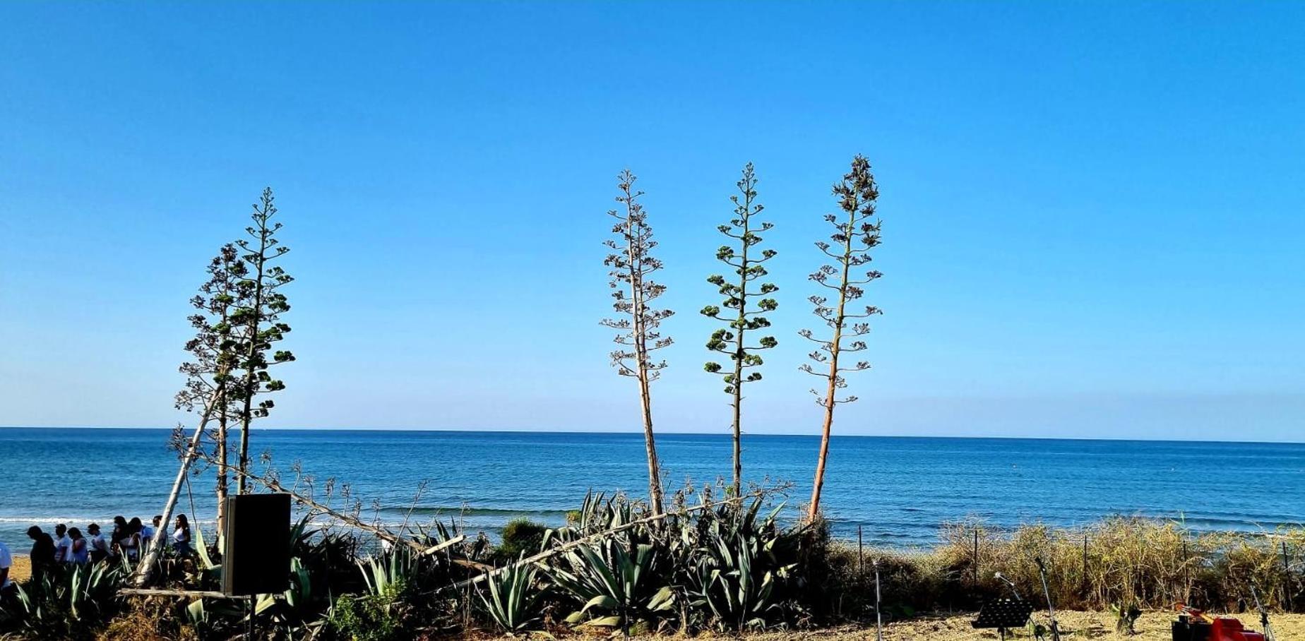 Casa Vacanza Nonna Nena 포르토 엠페도클레 외부 사진
